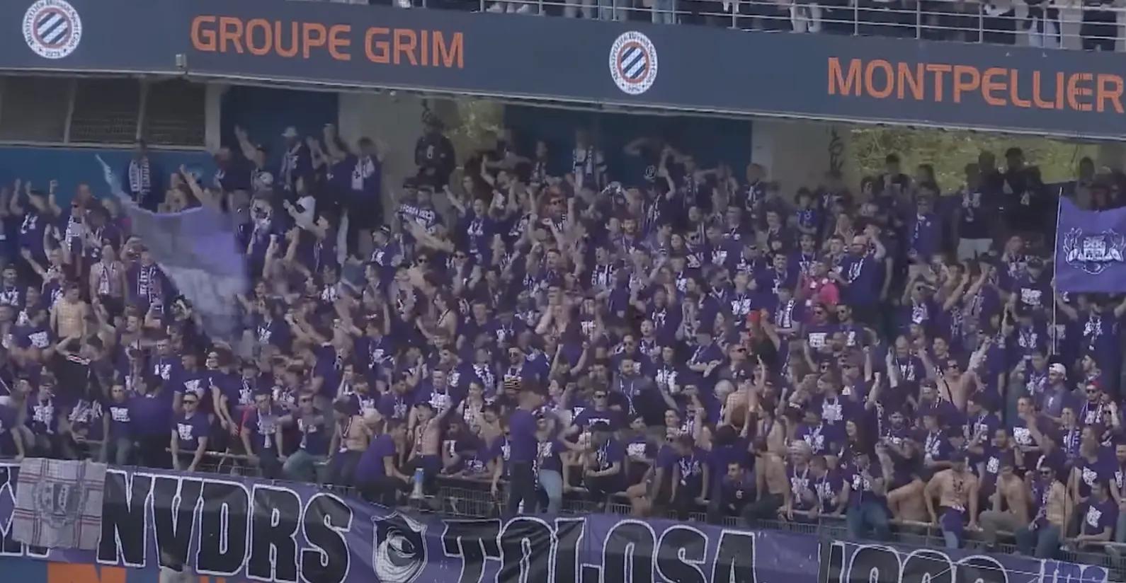 La Lettre du Violet : publiez votre article sur LesViolets.Com après MHSC - TFC