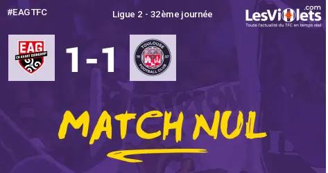 Guingamp 1-1 TFC : Quelle note pour ce match ?